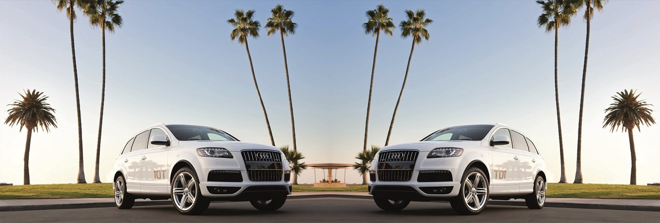 Car Rentals