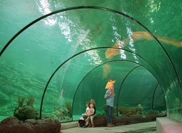 Rotterdam Zoo in Rotterdam