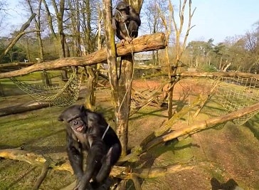Royal Burgers' Zoo in Arnhem
