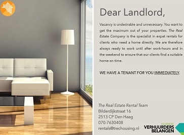 The Real Estate Company in The Hague