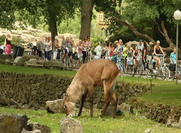Wildlands Adventure Zoo in Emmen