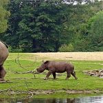 Zoos and Wildlife Parks