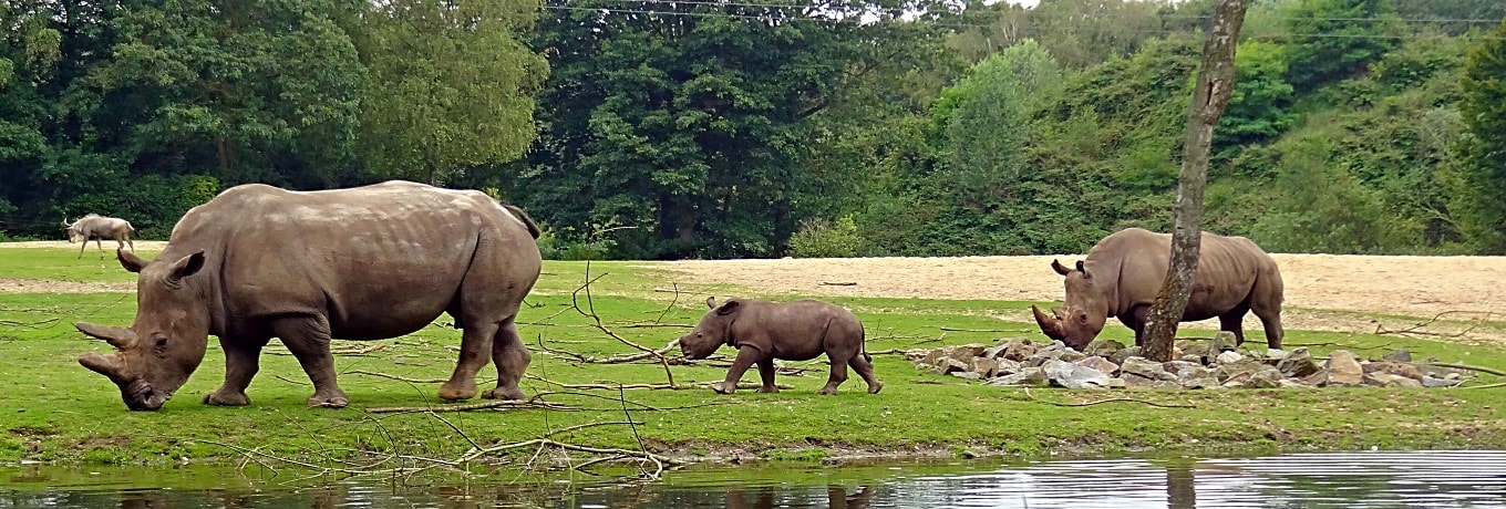 Zoos and Wildlife Parks